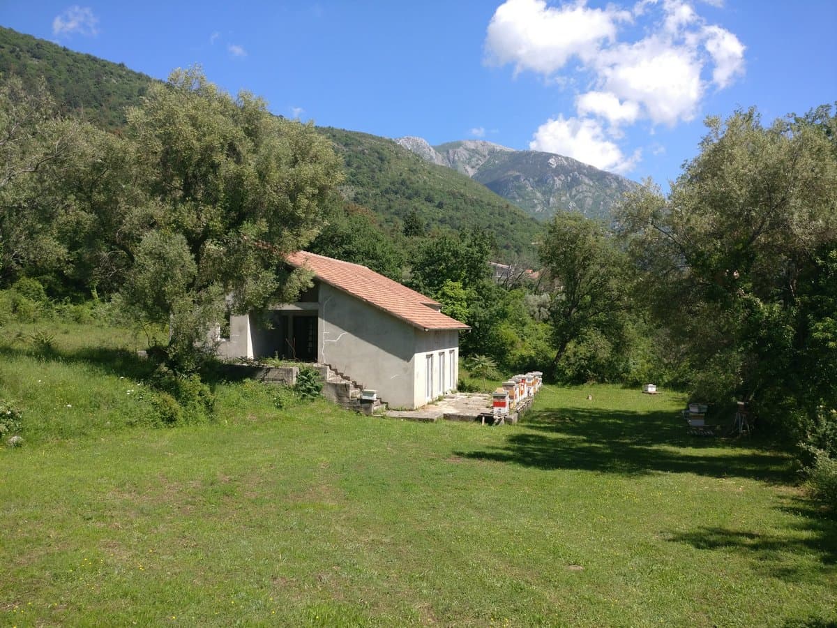 Kuća u Kavaču br. 406