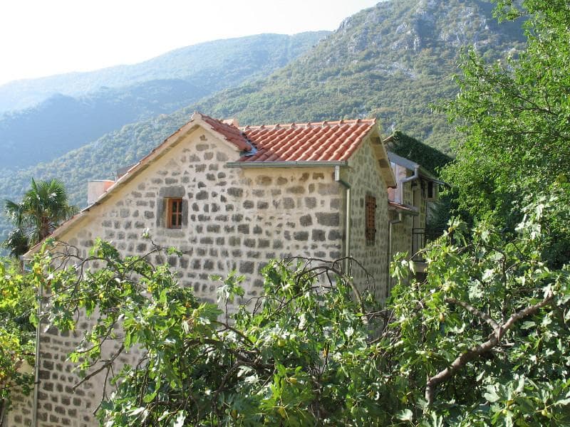 Kuće u Dobroti №869