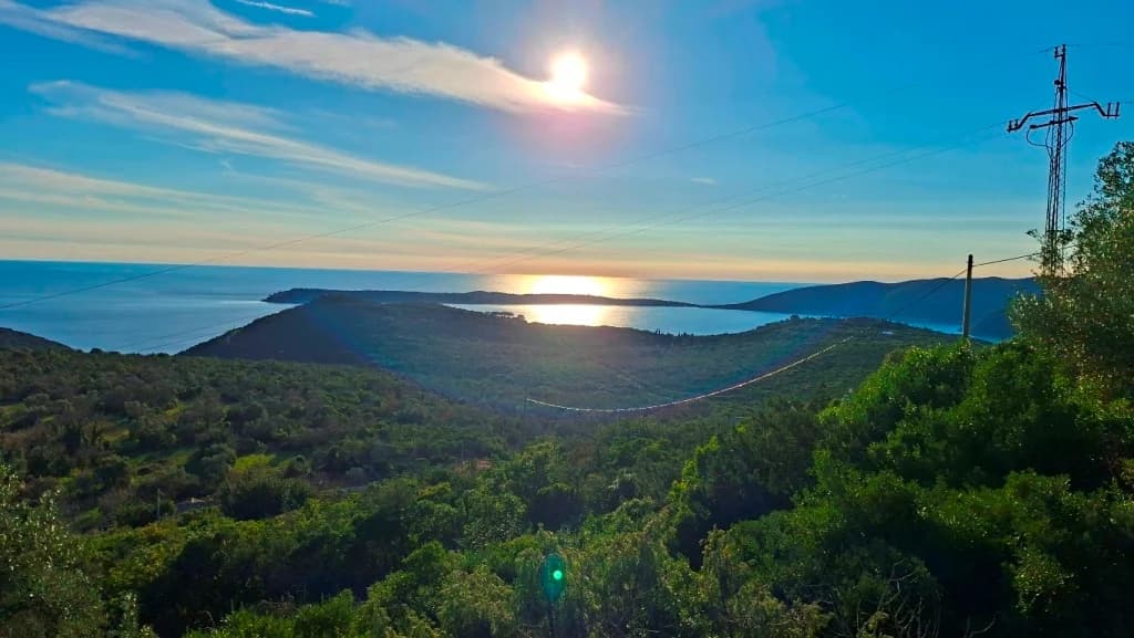 Plac, Luštica