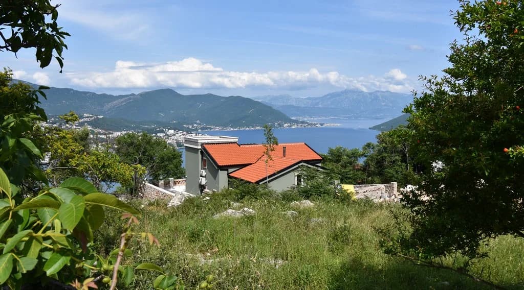 Plac, Žvinje 