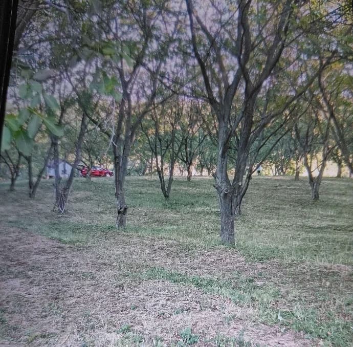 Na obroncima Fruske Gore 5ha zemlje u komadu