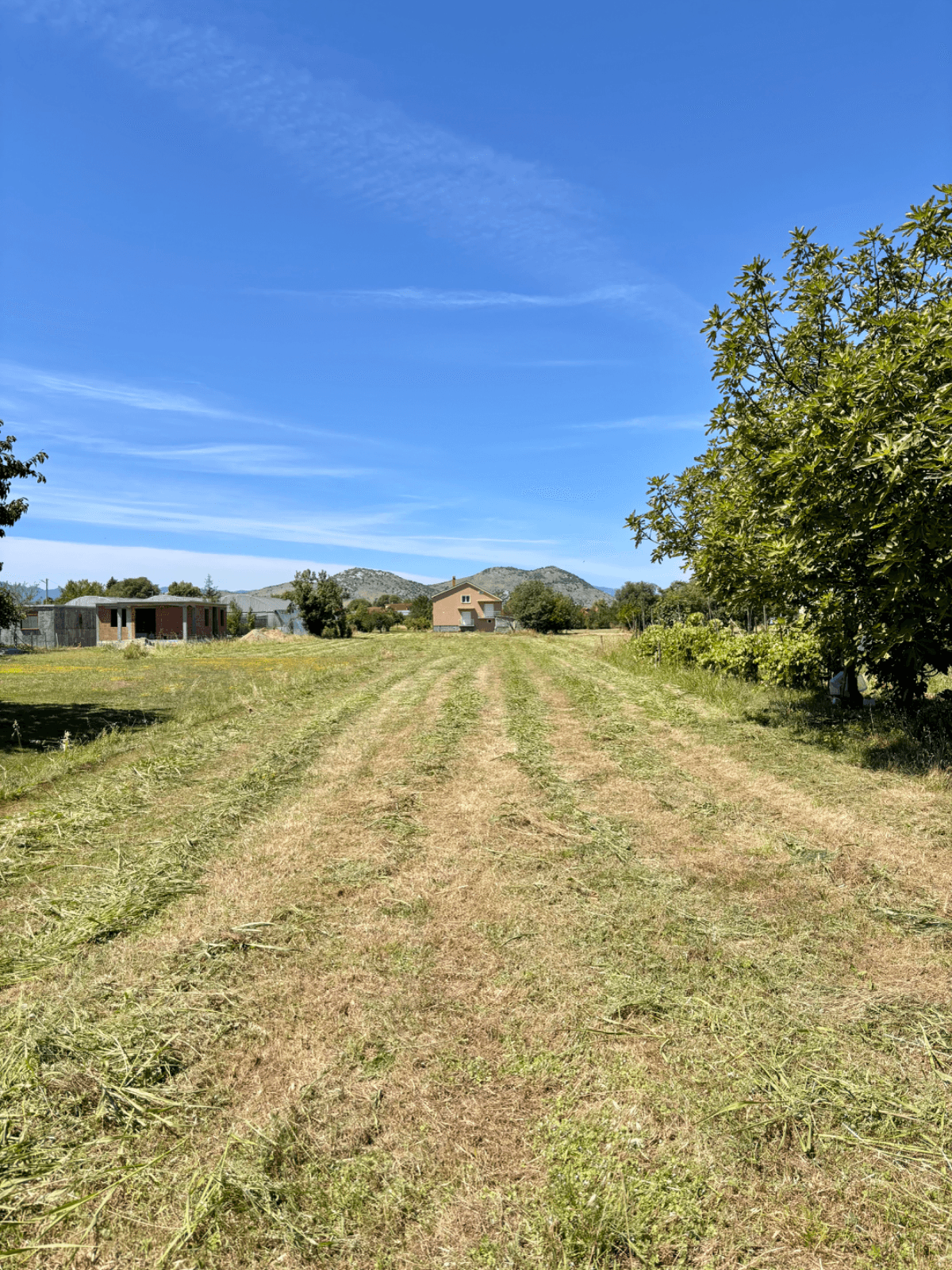 Plot 2023m2