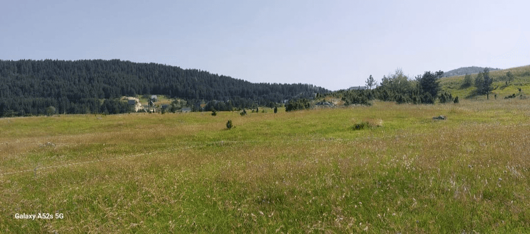Plac 500 m² sa započetom vikendicom, Borje, Žabljak — 35.000 €