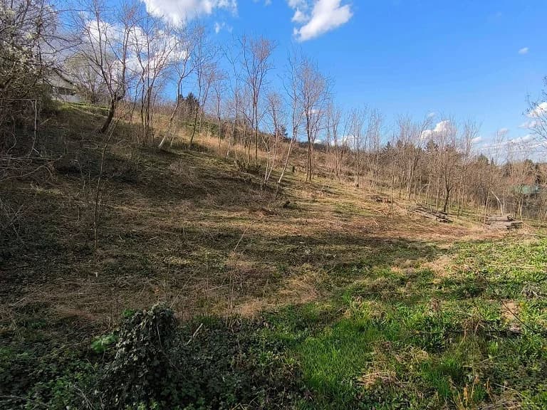 Plot in Dumbovo
