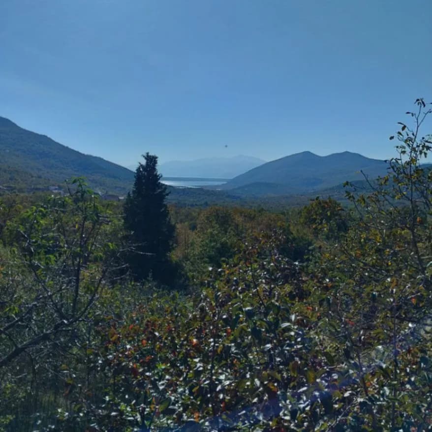 Prodaje se imanje sa kućom i vinarijom u Podgorici sa pogledom na Skadarsko Jezero